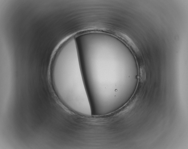 X0000113370780200909151026
