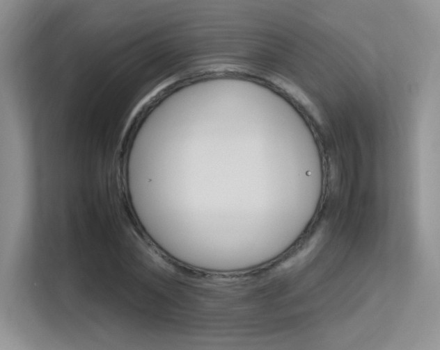 X0000113370782200909151026