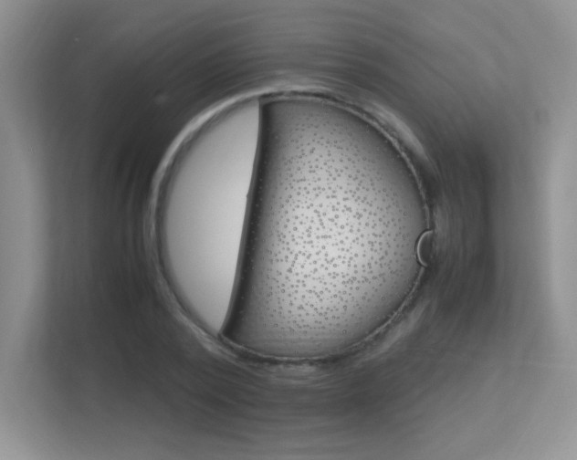 X0000113370784200909151026