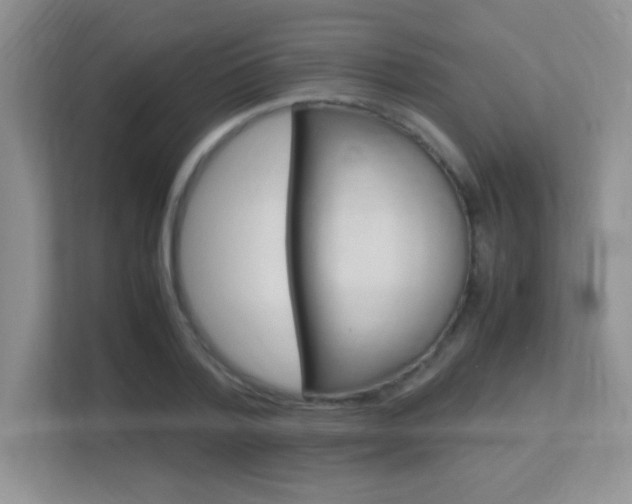 X0000113370788200909151026
