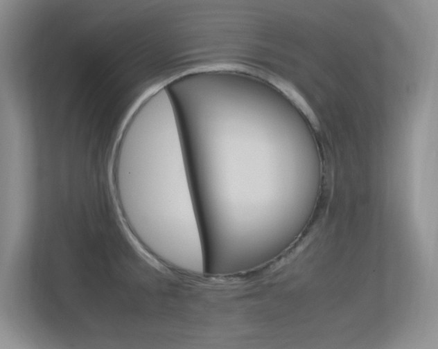 X0000113370805200909151026