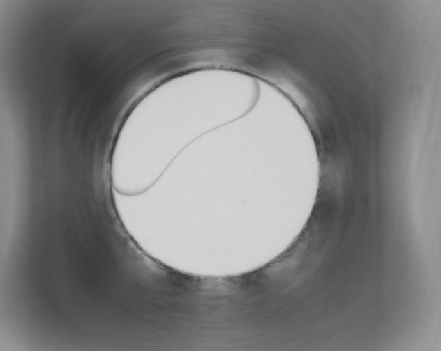 X0000113370807200909151026