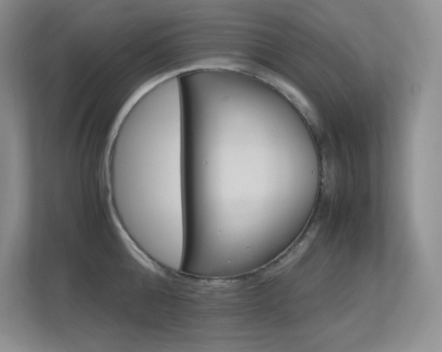 X0000113370808200909151026