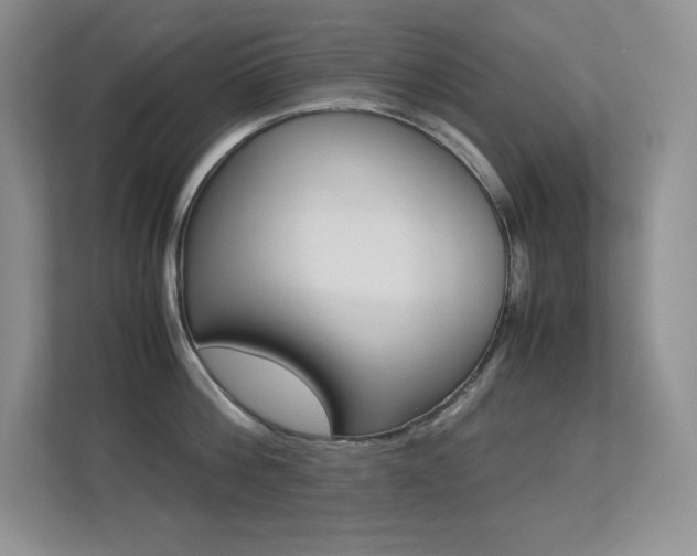 X0000113370812200909151025
