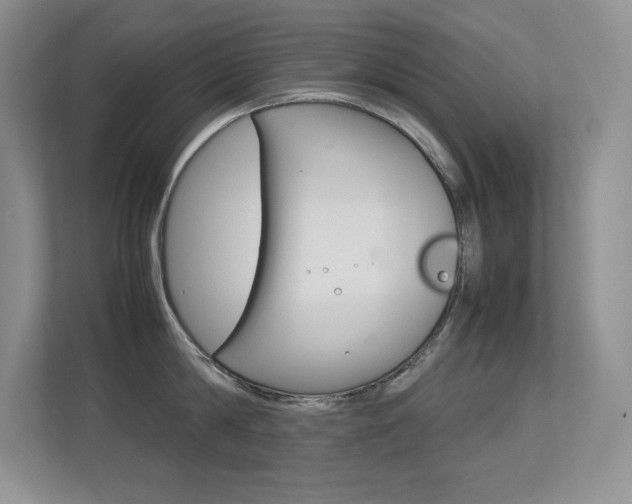 X0000113370814200909151025