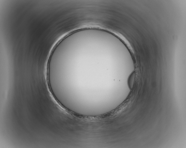 X0000113370815200909151025