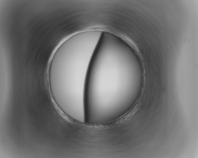 X0000113370816200909151025