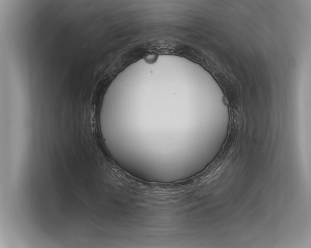 X0000113370818200909151025