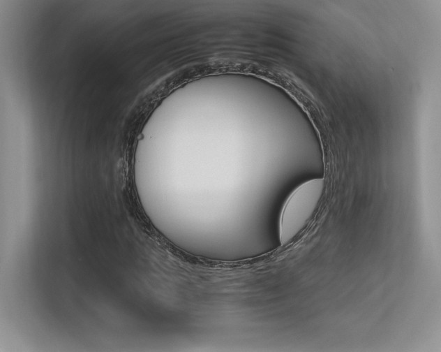 X0000113370821200909151025