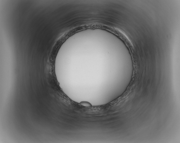 X0000113370823200909151025