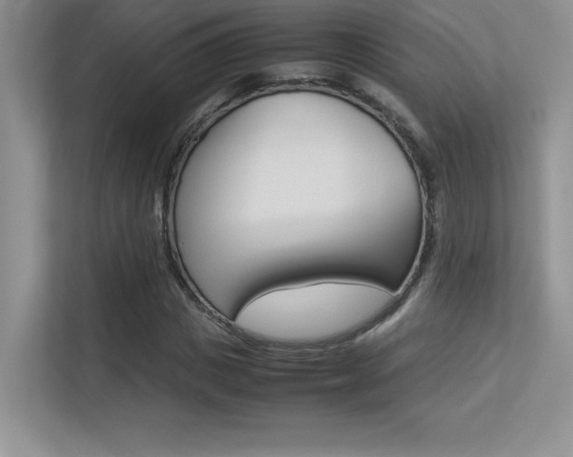 X0000113370825200909151025