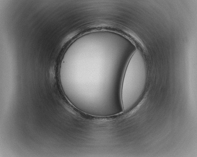 X0000113370826200909151025