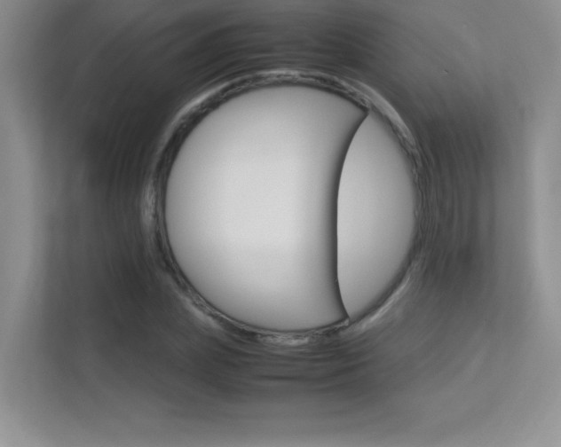 X0000113370831200909151025