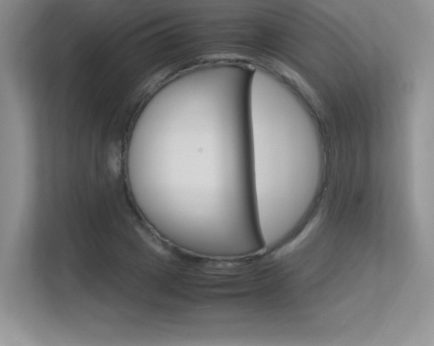 X0000113370833200909151025