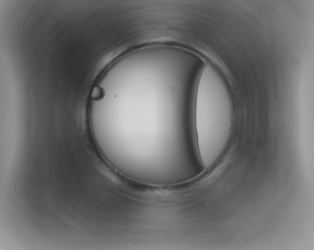 X0000113370834200909151025