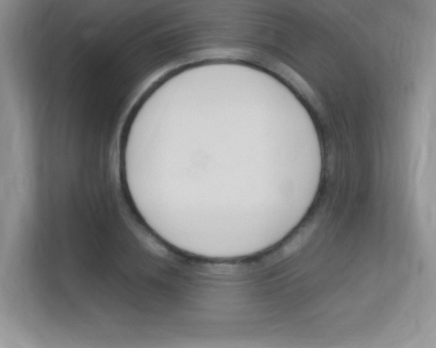 X0000113370836200909151025