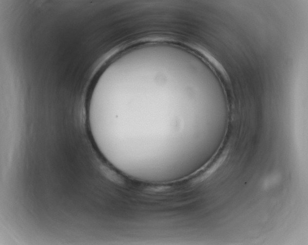 X0000113370837200909151025
