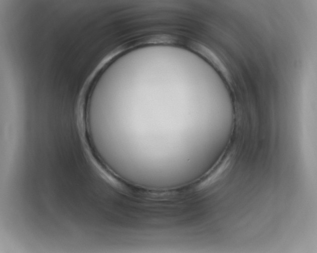 X0000113370843200909151025