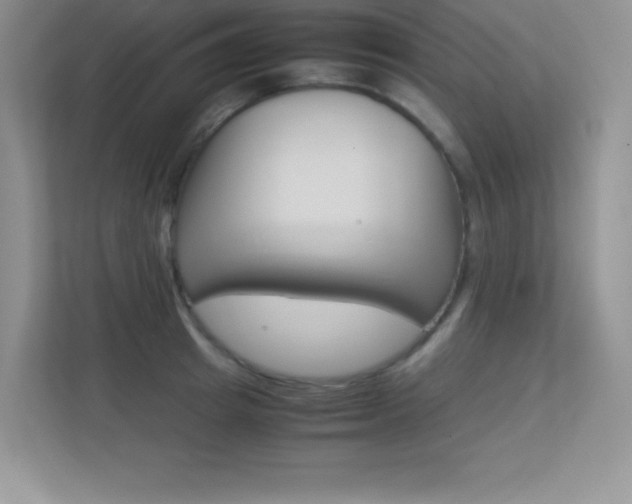 X0000113370849200909151025
