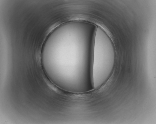 X0000113370850200909151025