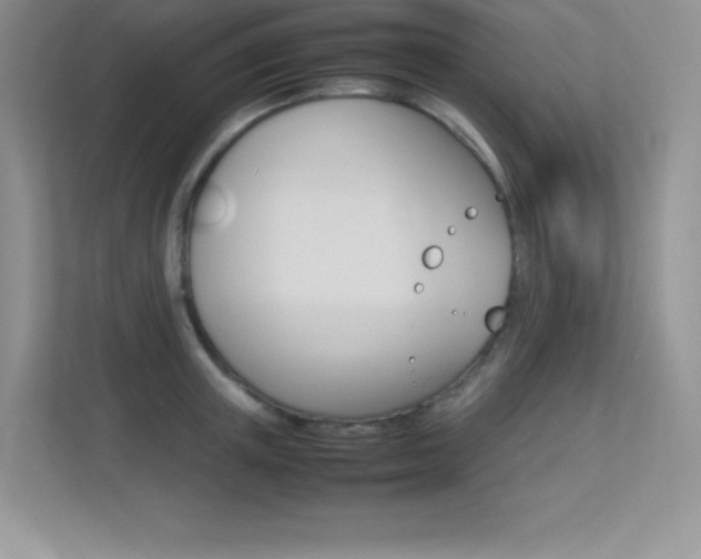 X0000113370851200909151025