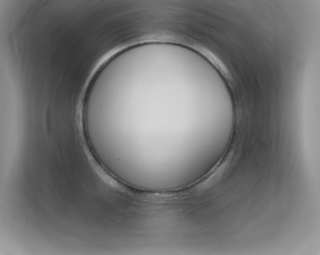 X0000113370854200909151025