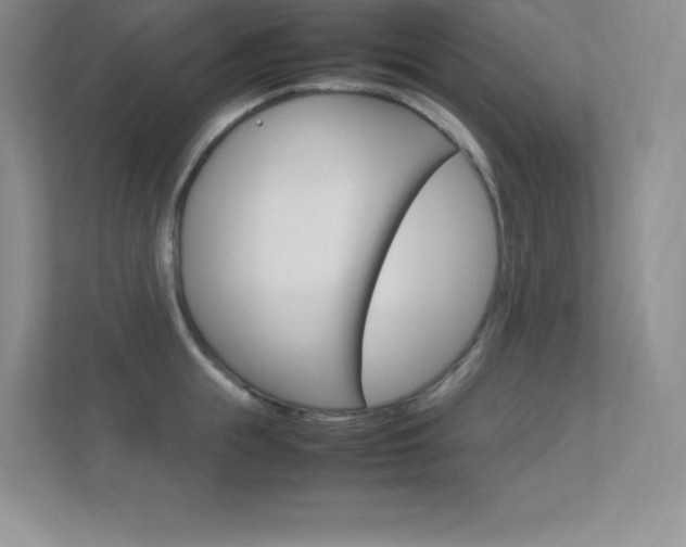 X0000113370855200909151025