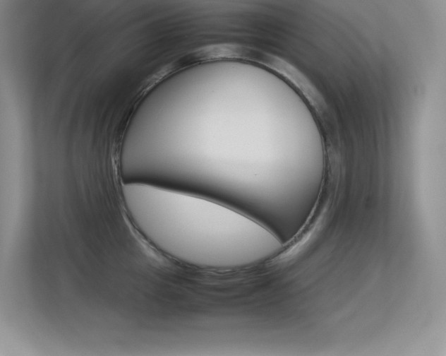 X0000113370857200909151025