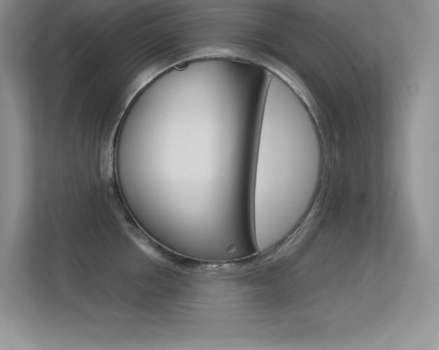 X0000113370858200909151025