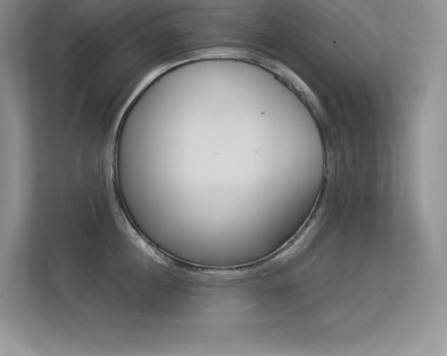 X0000113370860200909151025