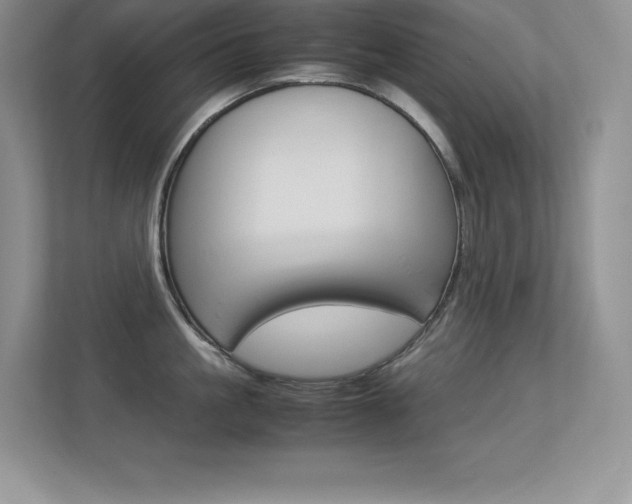 X0000113370861200909151025