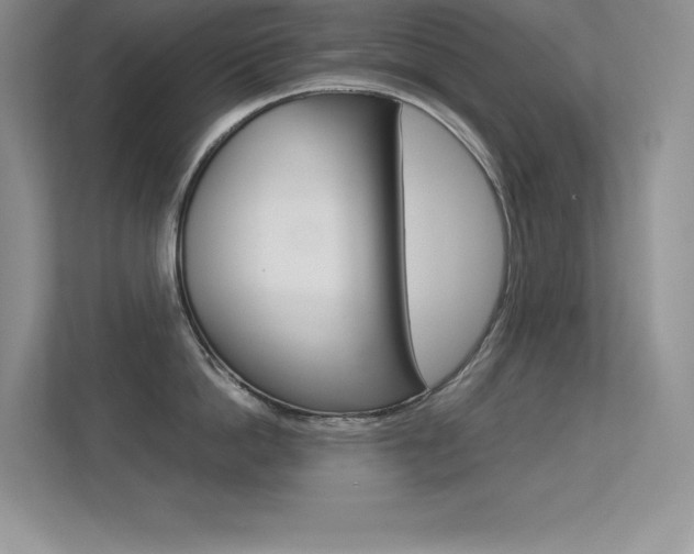 X0000113370862200909151025