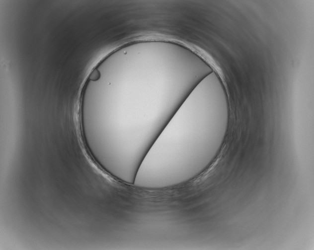 X0000113370863200909151025