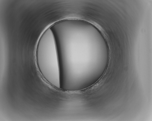 X0000113370864200909151025
