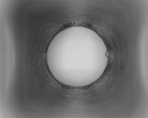 X0000113370865200909151025