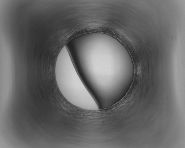 X0000113370868200909151025