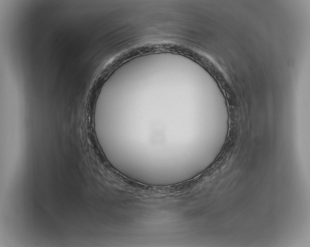 X0000113370871200909151025