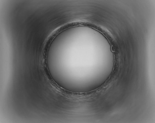 X0000113370872200909151025