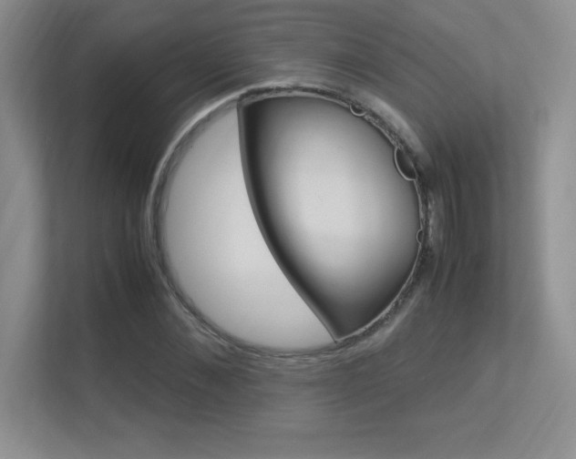 X0000113370876200909151025