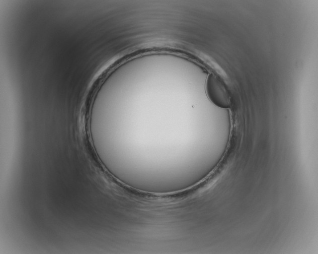 X0000113370877200909151025