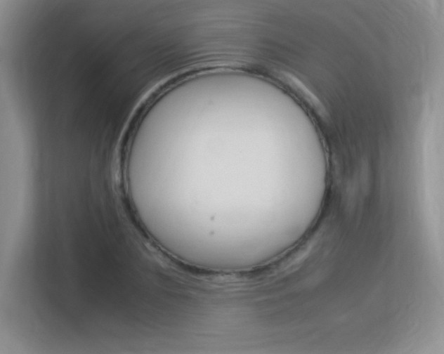 X0000113370883200909151025