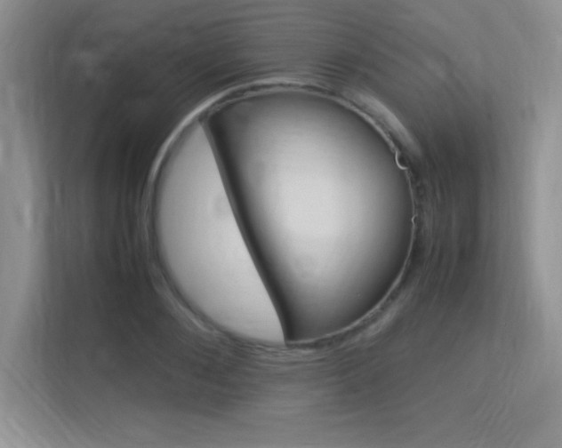 X0000113370884200909151025