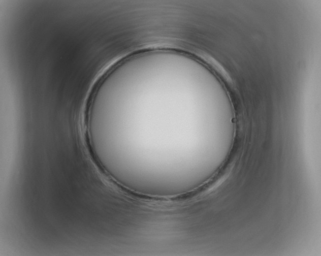 X0000113370885200909151024