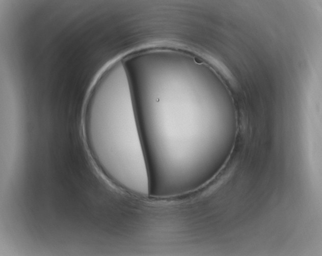 X0000113370888200909151024