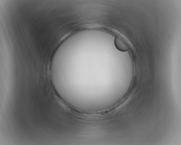 X0000113370889200909151024