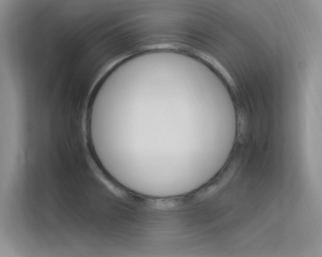 X0000113370890200909151024