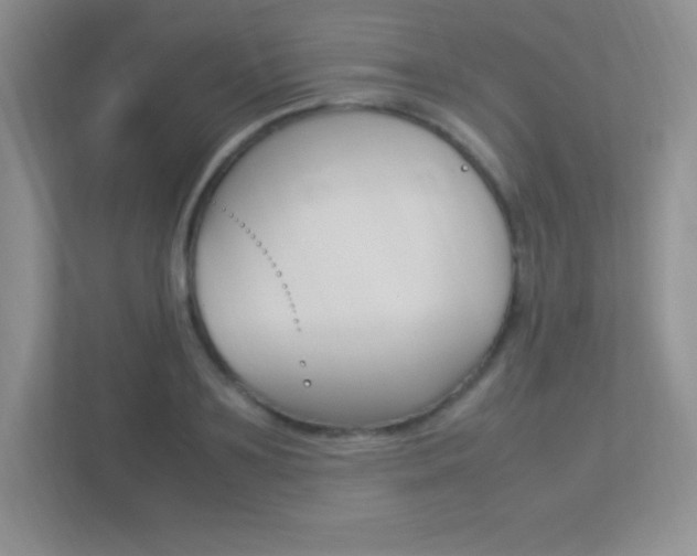 X0000113370891200909151024