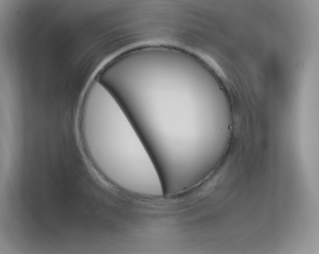 X0000113370895200909151024