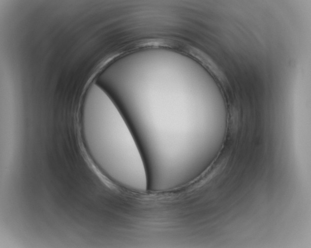 X0000113370898200909151024