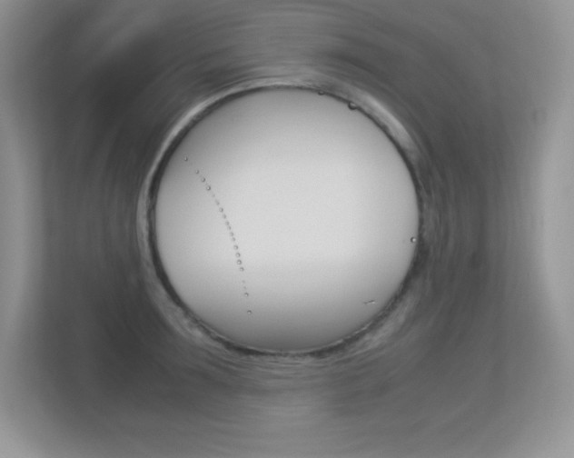 X0000113370899200909151024